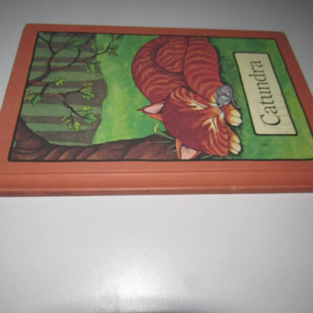 Vintage Catundra Hardcover Picture Book │ Serendipity | Cosgrove